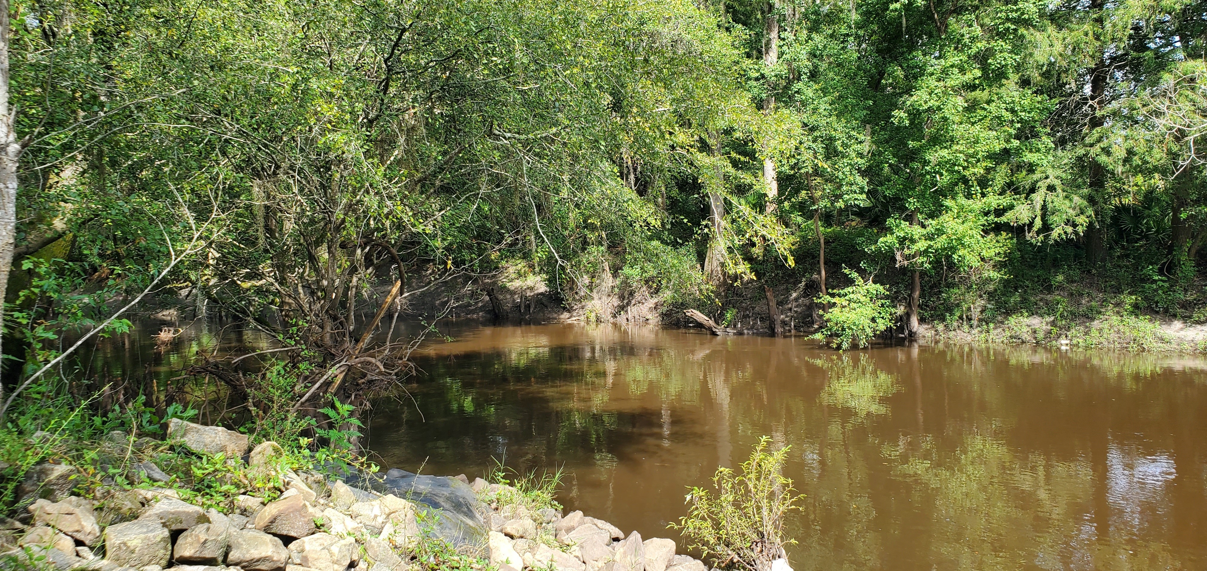 Downstream, Withlacoochee River, GA 133, 2022:08:11 10:36:14, 30.8497485, -83.3399915