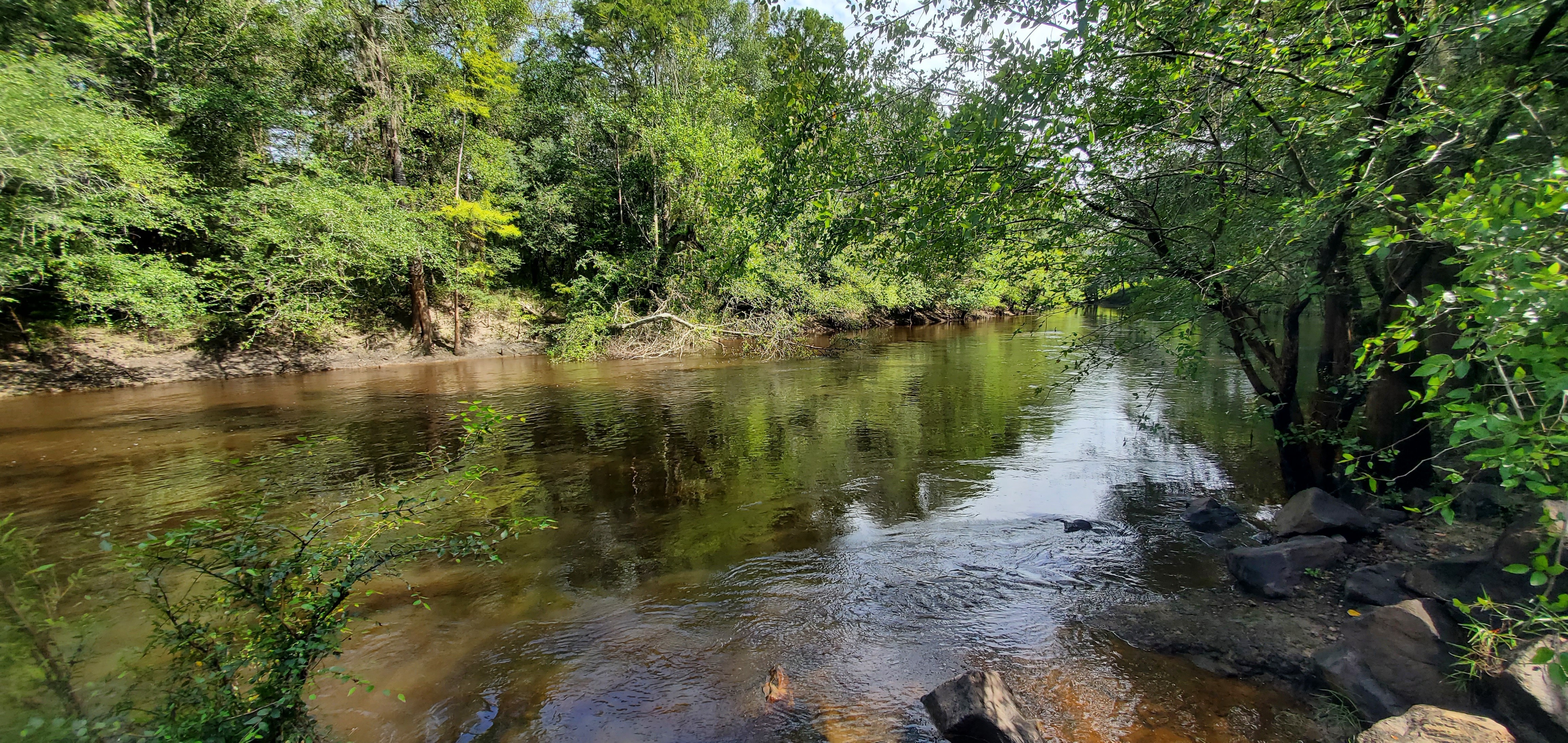 Upstream to GA 133 bridge, Troupville, Little River, 2022:08:11 10:51:19, 30.8515888, -83.3475189