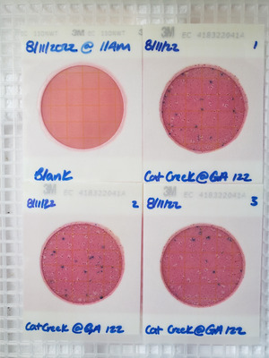 [Plates, Cat Creek @ GA 122 2022-08-11]