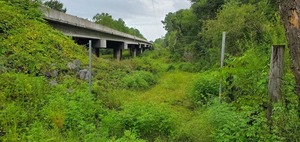 [Chainlink fence gap, north side of Skipper Bridge, 2022:08:11 09:25:56, 30.9490669, -83.2714828]