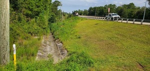 [Drainage ditch, SW of GA 133, 2022:08:11 10:31:48, 30.8491527, -83.3386782]