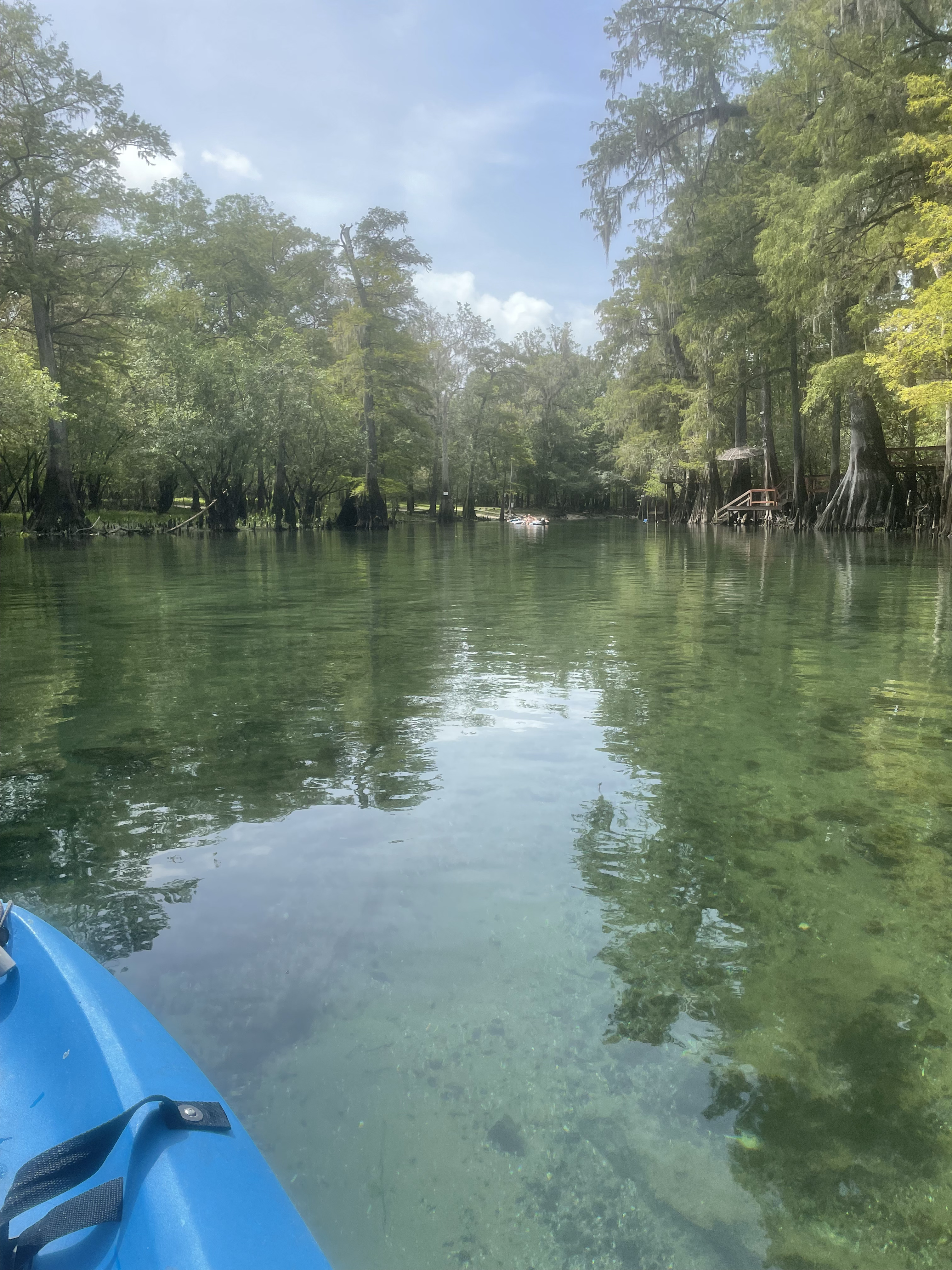 Point Park, Ichetucknee River @ SW Riverside Ave. 2022-08-12