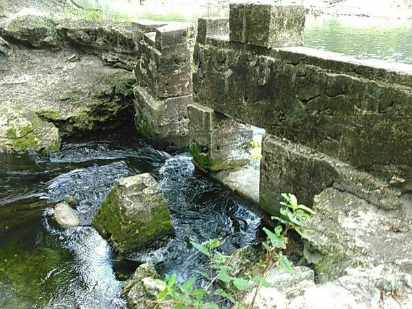 Inside wall, Suwanacoochee Spring 2015-08-15. Photo: John S. Quarterman