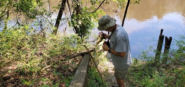 Ken Sulak taking readings below Old Bellville Bridge abutment, 12:13:56, 30.5956810, -83.2596010