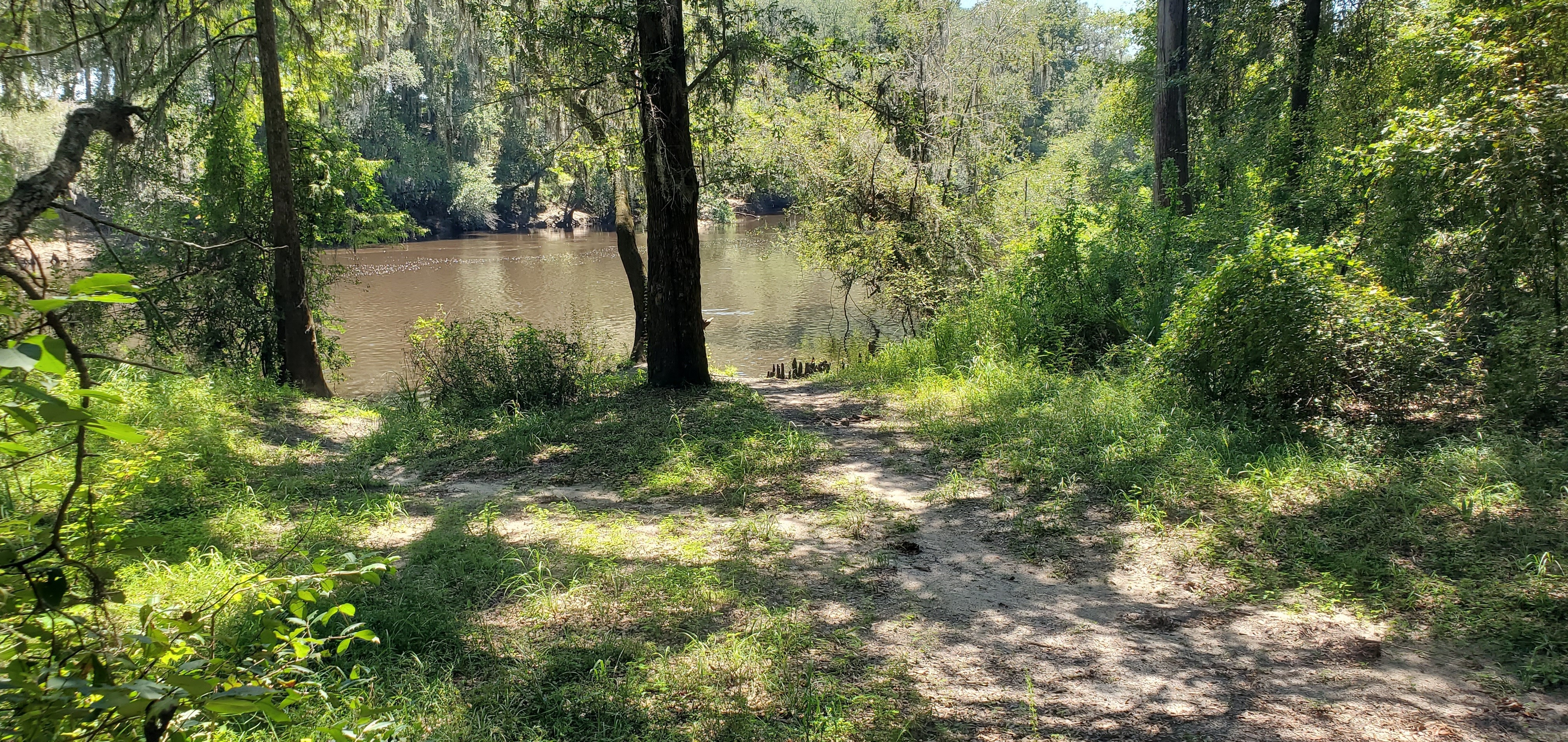 Withlacoochee River, 12:30:39, 30.6039798, -83.2645465