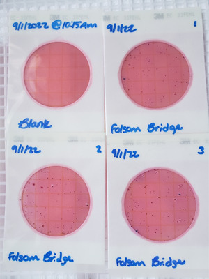 [Plates, Folsom Bridge Landing 2022-09-01]