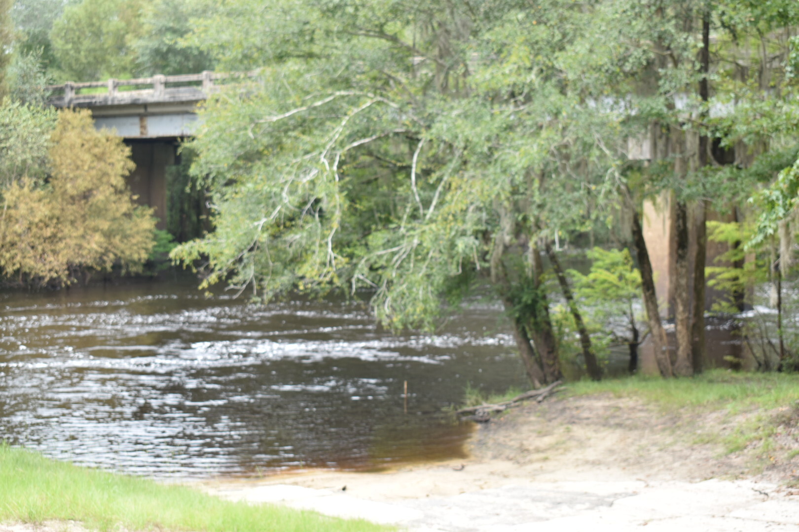 Nankin Boat Ramp, Withlacoochee River @ Clyattville-Nankin Road 2022-09-08