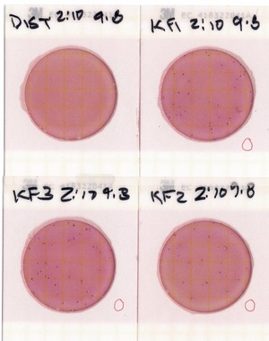 [Plates, Knights Ferry Boat Ramp 2022-09-08]