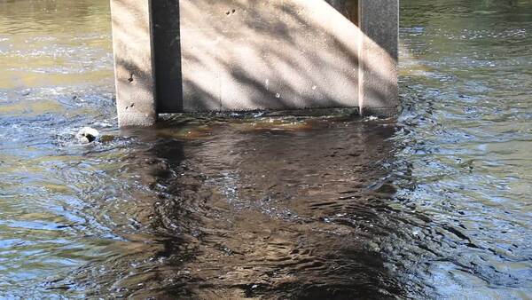 Movie: Nankin Boat Ramp Water Level, Withlacoochee River @ Clyattville-Nankin Road 2022-09-15