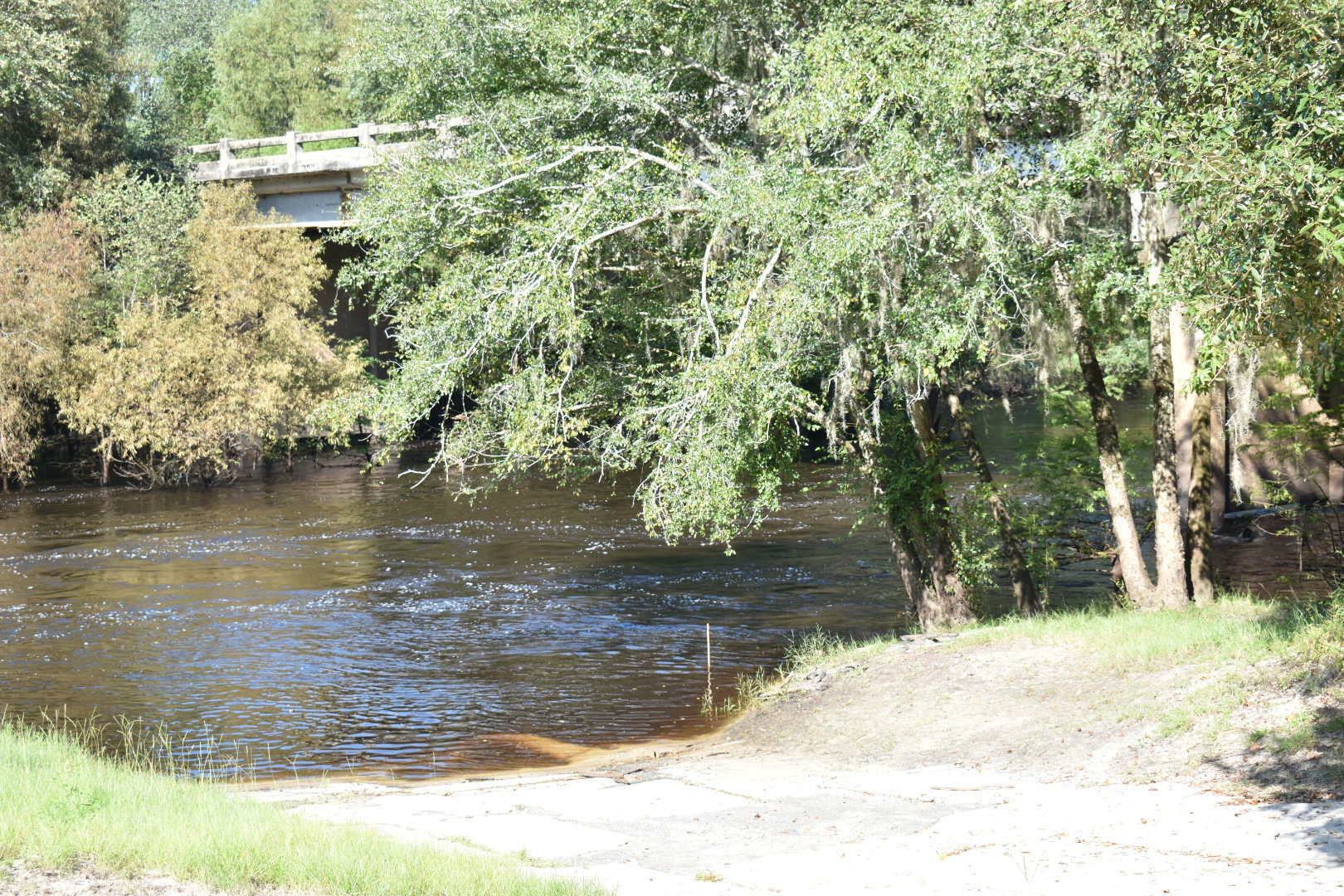 Nankin Boat Ramp, Withlacoochee River @ Clyattville-Nankin Road 2022-09-15