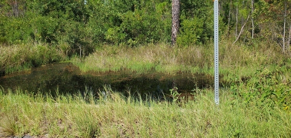 [A culvert between Dozer and Boggy Break Roads, 14:37:08, 30.5208640, -82.1467650]