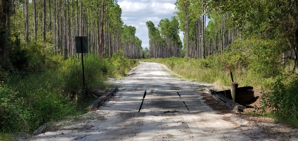 [Moccasin Creek Circle Bridge over 03070204007519, 15:03:43, 30.5409360, -82.2531630]