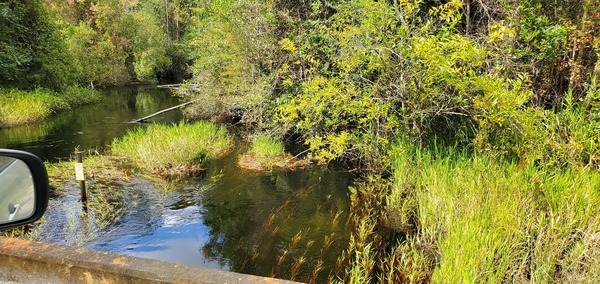 Downstream: Moccasin Creek Circle Bridge over 03070204007519, 15:17:58, 30.5447732, -82.2788647