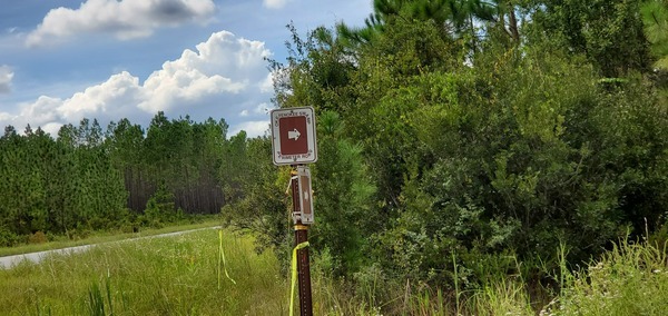 CR 6 @ FL 2: Okefenokee Swamp Perimeter Road, 15:32:41, 30.5309066, -82.3116612