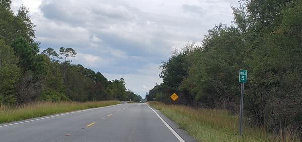 [GA 94 Milemarker 5, looking south, 15:55:22, 30.6420920, -82.5261280]