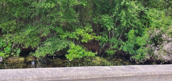 Ray Daugharty Memorial Bridge, downstream, 16:17:04, 30.7158074, -82.4959213