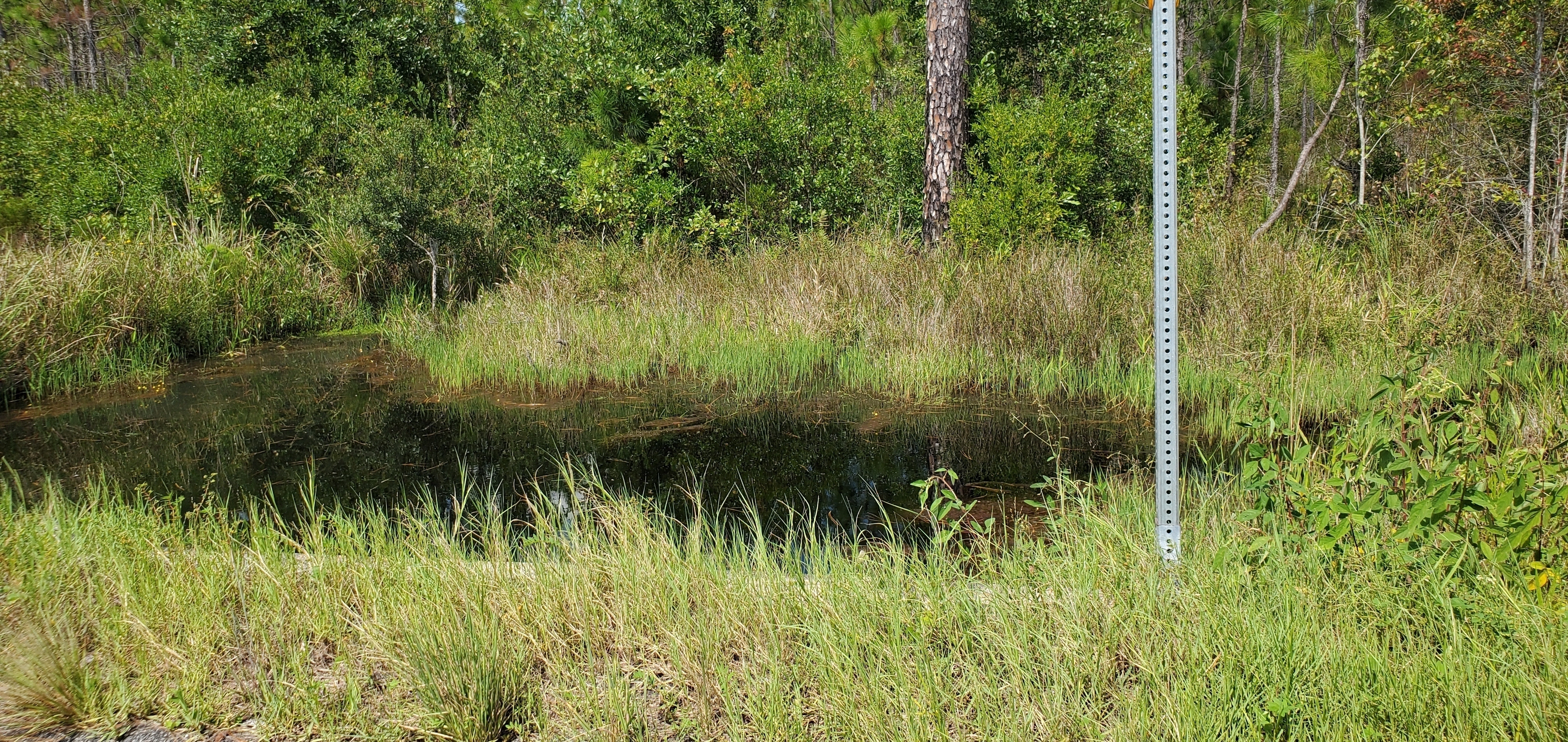 A culvert between Dozer and Boggy Break Roads, 14:37:08, 30.5208640, -82.1467650