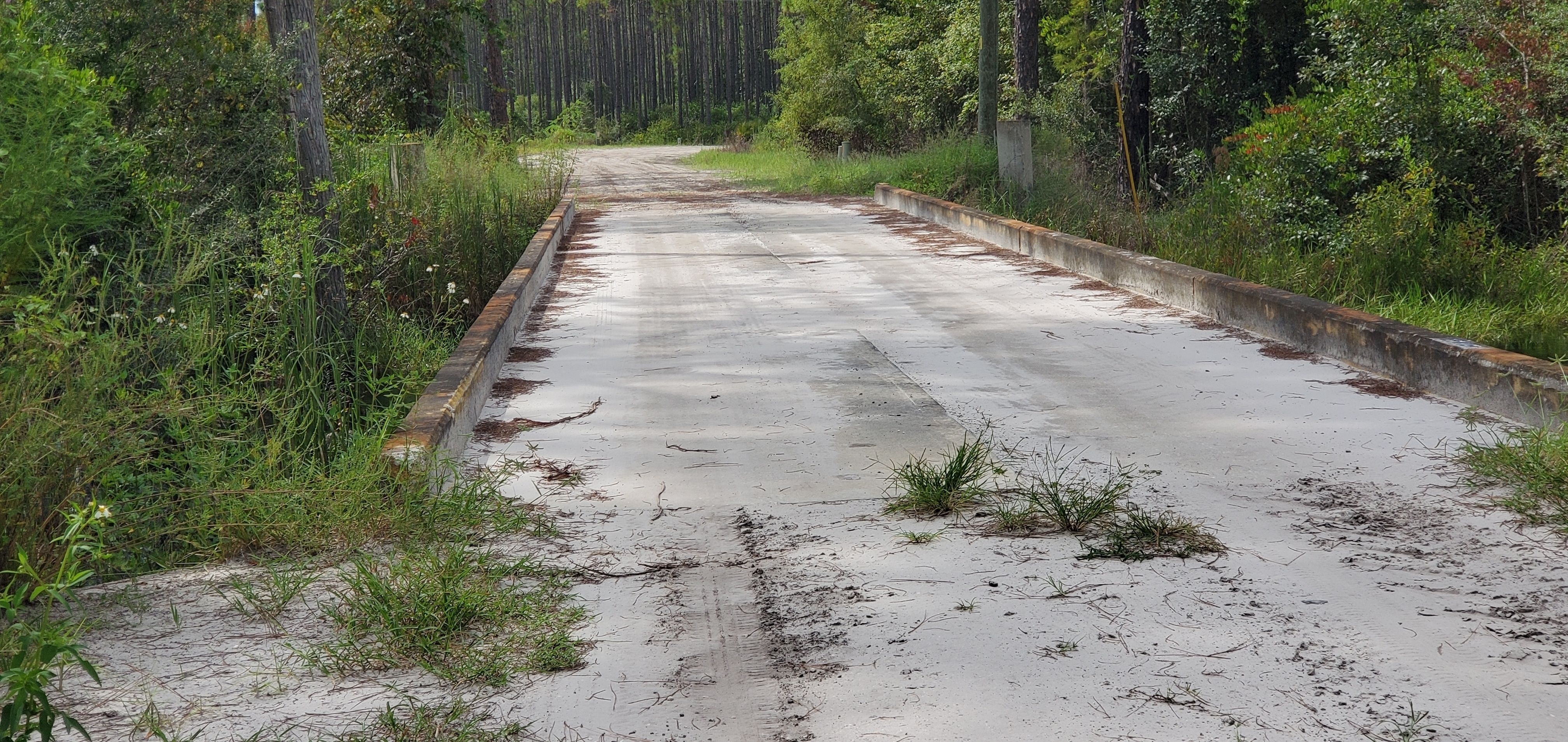 Moccasin Creek Circle Moccasin Creek Bridge, 15:18:18, 30.5447730, -82.2788650