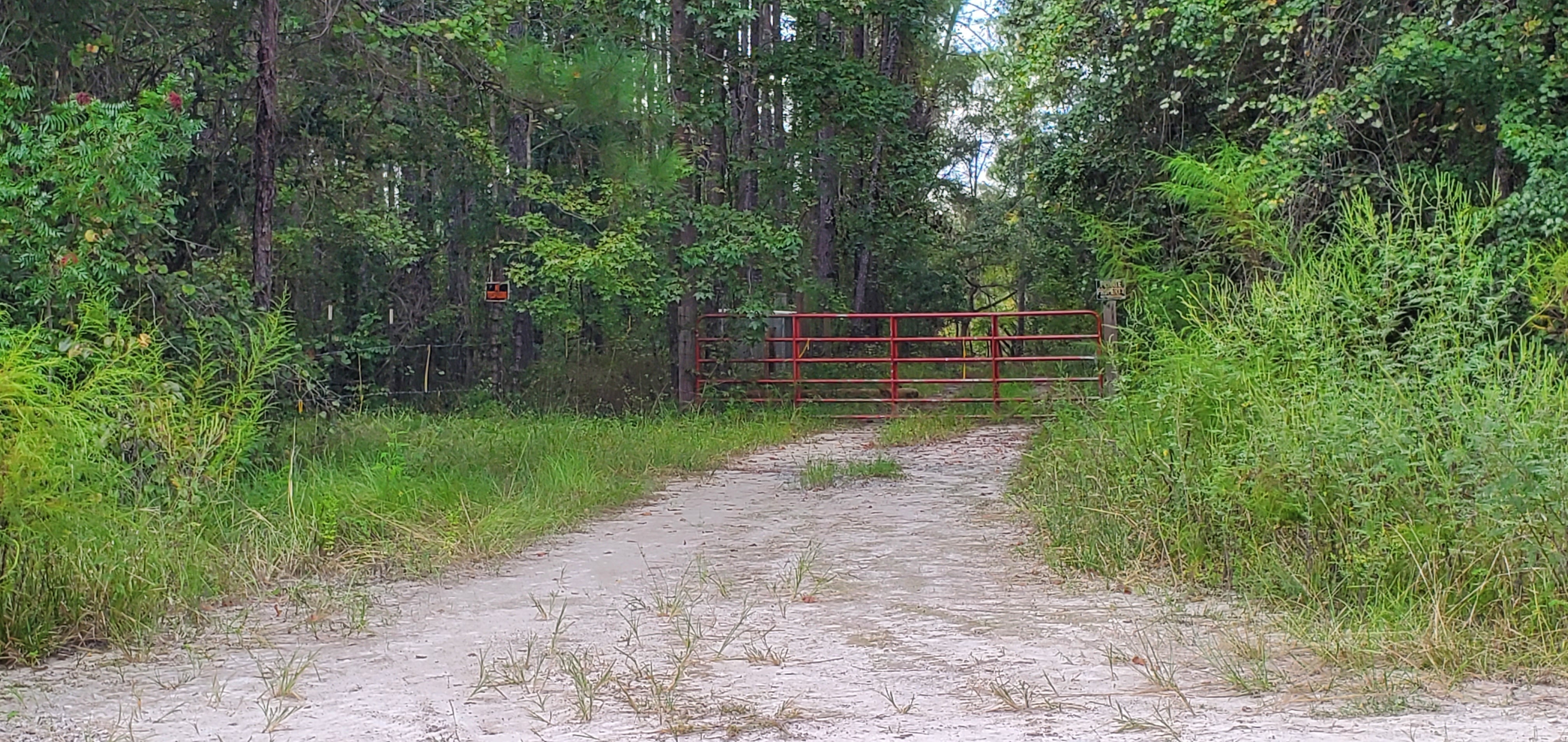 Reeves Landing Gate, 16:09:24, 30.7068485, -82.5283667