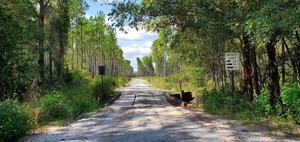 [mid: Moccasin Creek Circle Bridge over 03070204007519, 15:03:37, 30.5409357, -82.2531621]