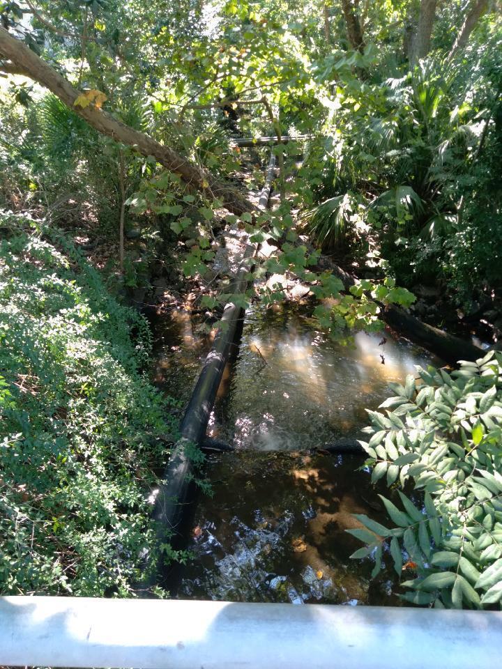 Pipe and creek, 30.845904, -83.290971