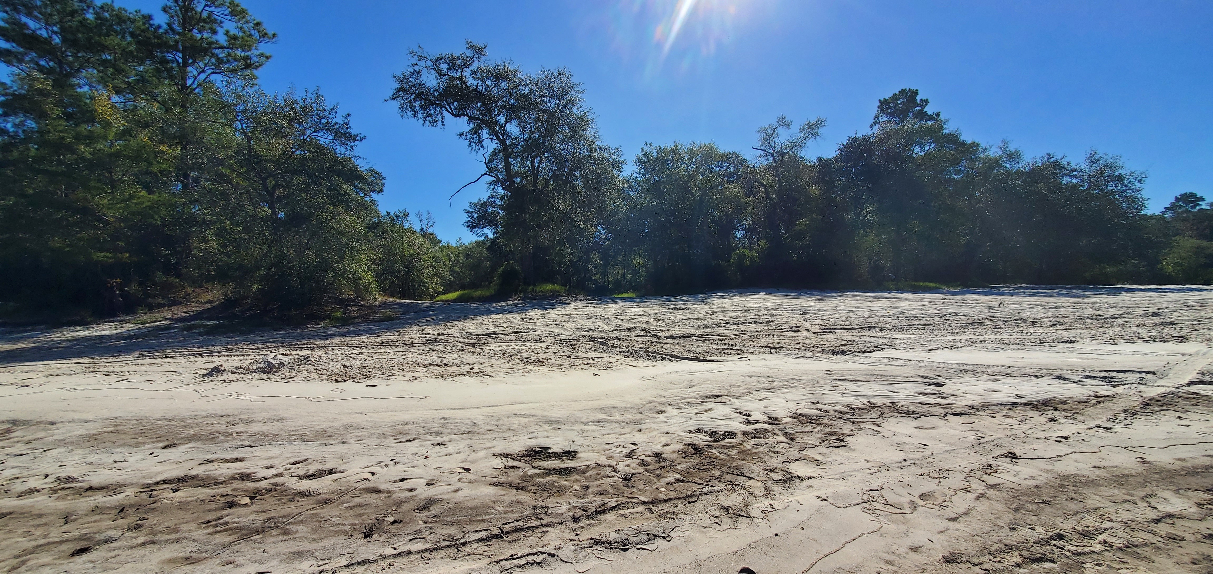 Inland from Berrien Beach