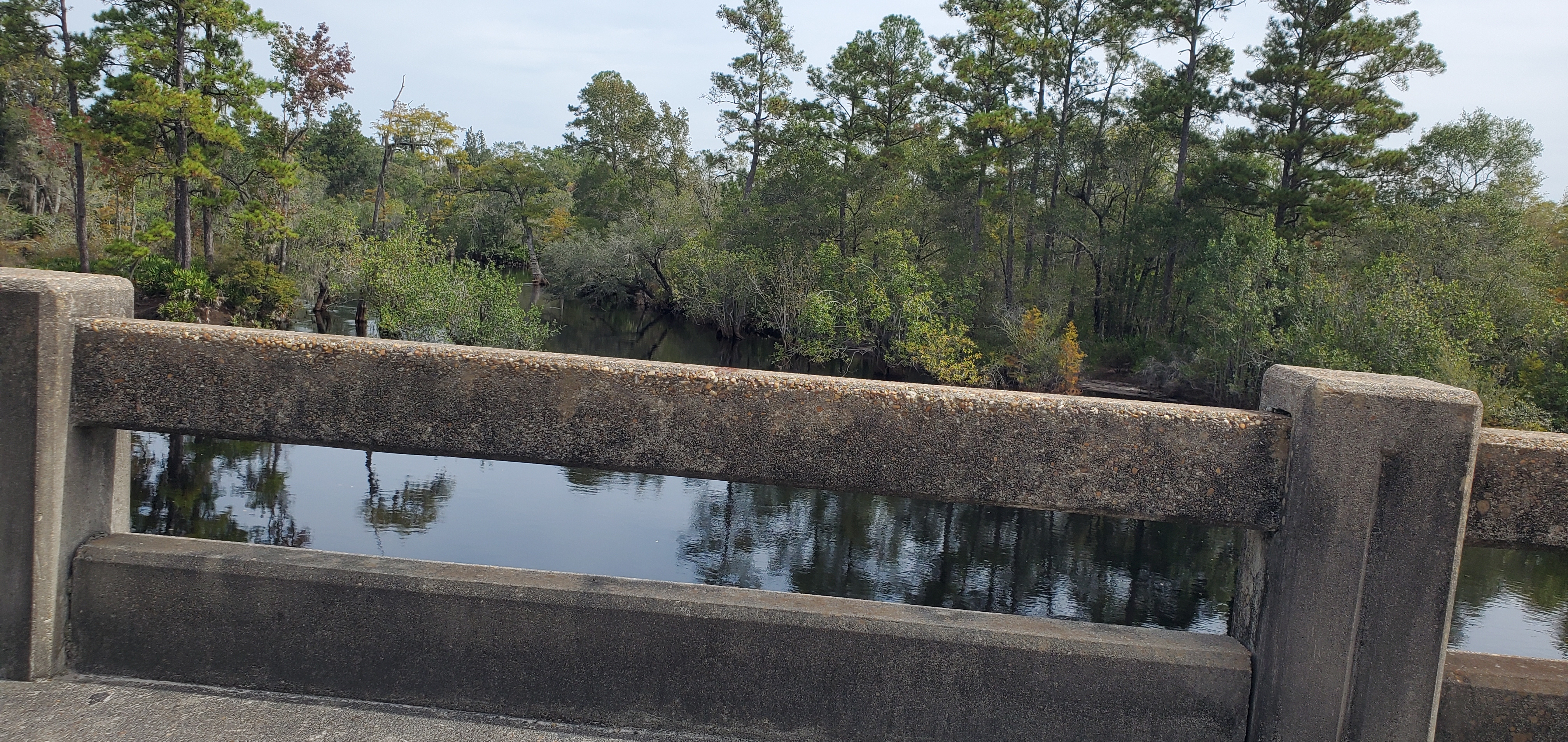 Suwannee River from US 441, Fargo, GA, 2022:09:27 11:32:13, 30.6816070, -82.5607050