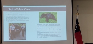 [Region II Bear Cases]