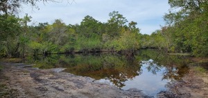 [Griffis Landing, Suwannee River, 2022:09:27 11:57:25, 30.7844827, -82.4456342]