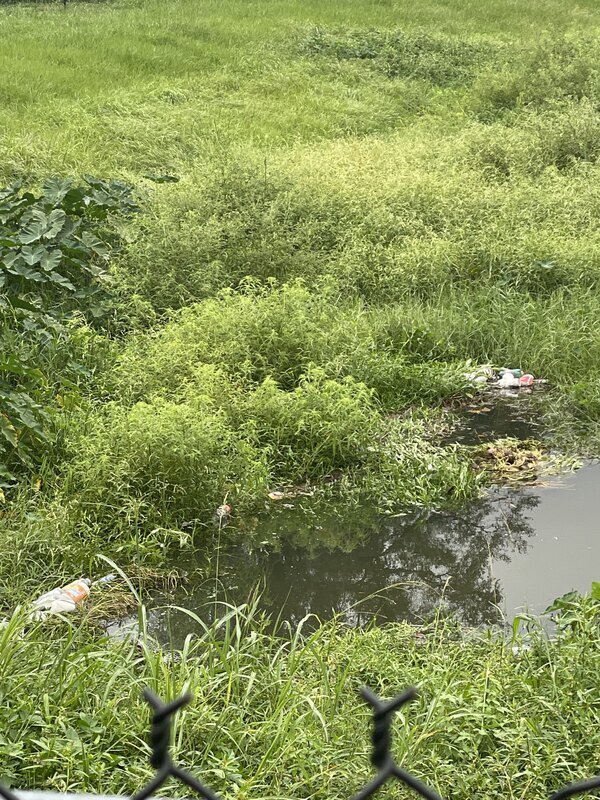 [Trash build up in the pond as of Saturday evening on 10 September 2022, trash trap isn’t working…]