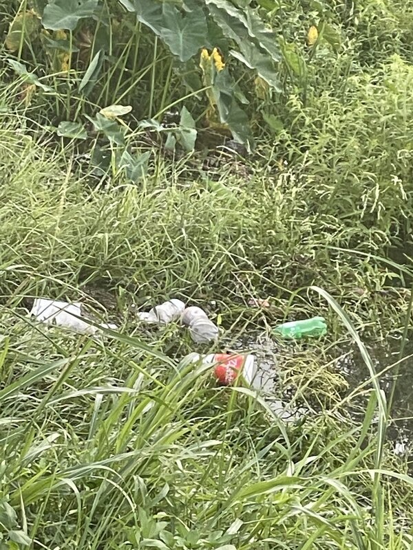 More trash buildup because Stormwater won’t close the gap in the fence!