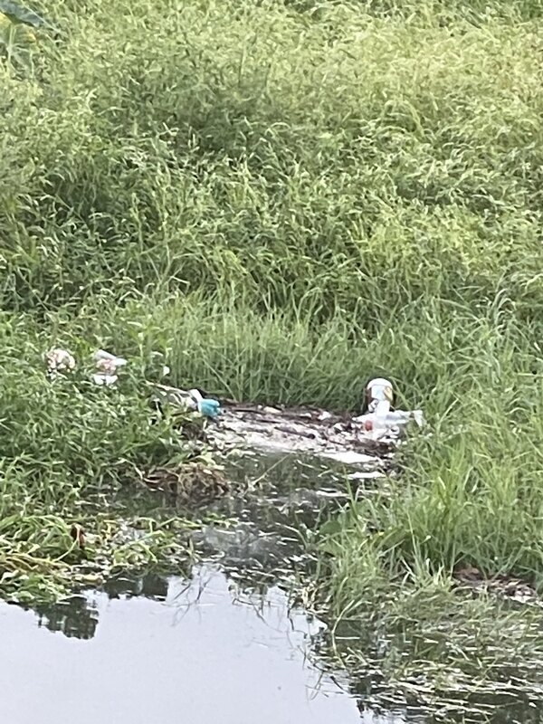 More trash in the City Pond on 11 September 2022 because the City Stormwater won’t close the gap in the fence. The homemade trash trap isn’t working here.