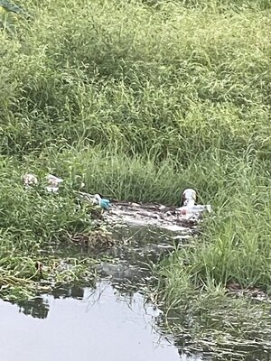 [More trash in the City Pond on 11 September 2022 because the City Stormwater won’t close the gap in the fence. The homemade trash trap isn’t working here.]