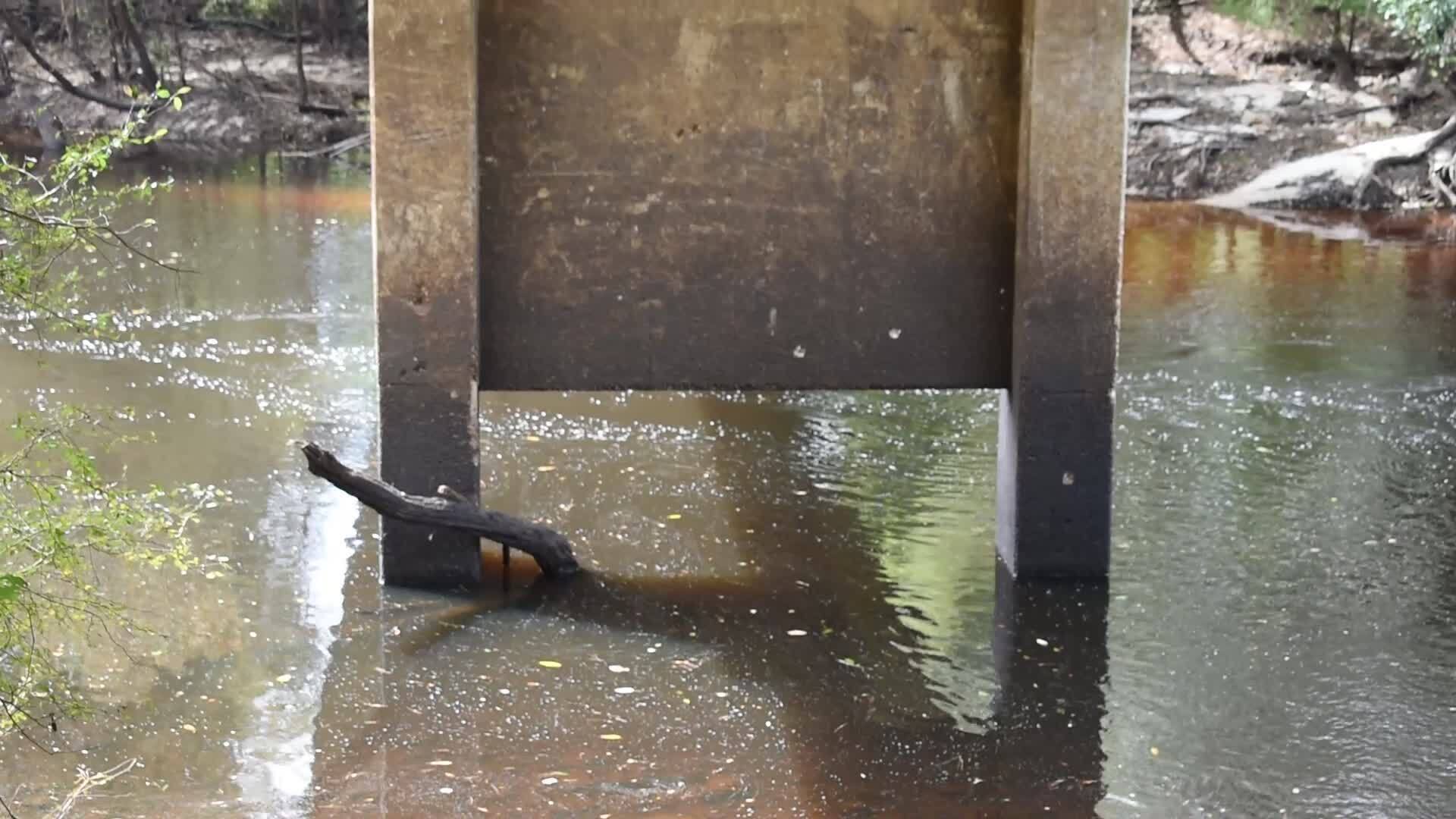 Movie: Nankin Boat Ramp Water Level, Withlacoochee River @ Clyattville-Nankin Road 2022-09-29