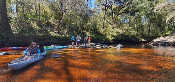 Or watch the Alapaha River, 12:06:13, 30.5839818, -83.0510898