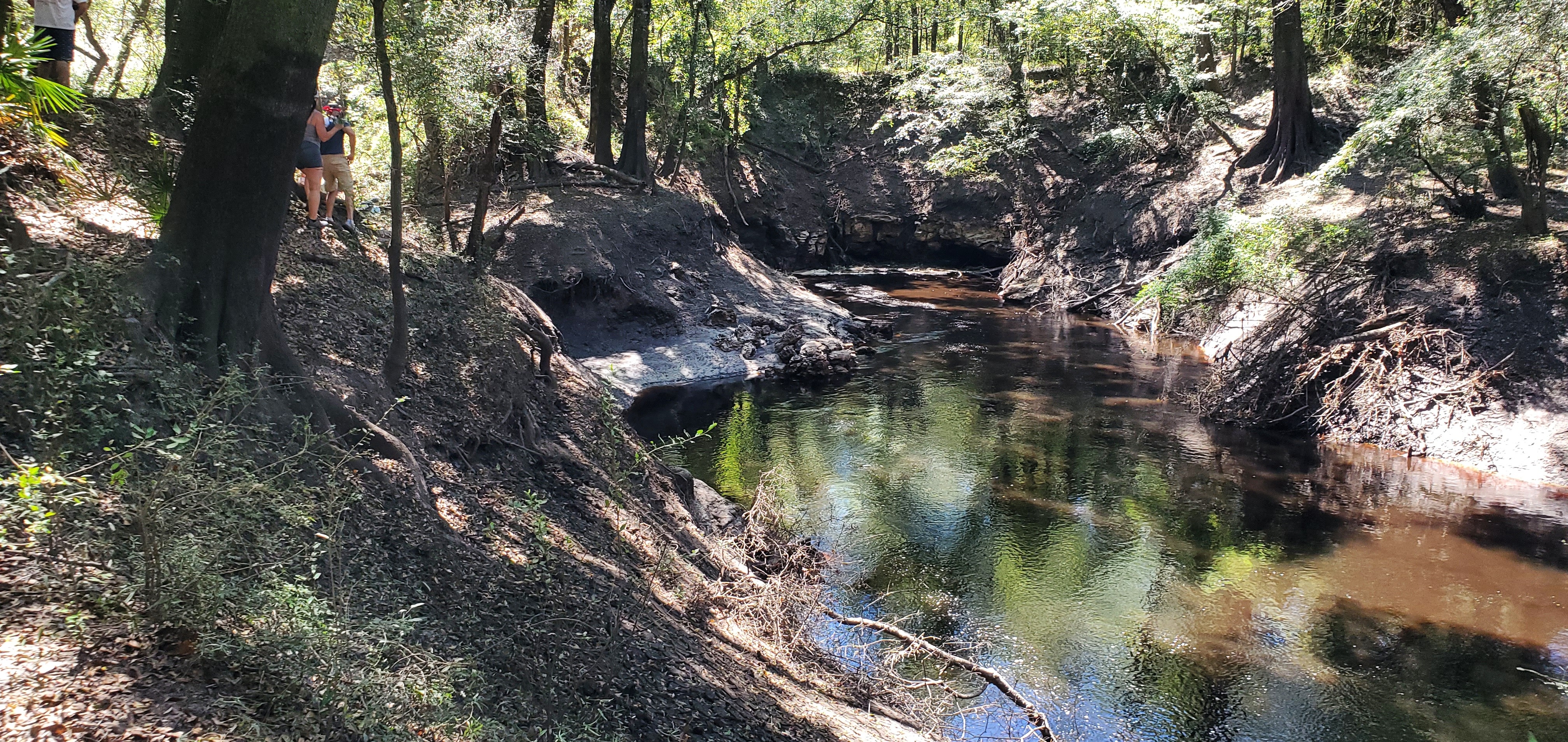 Dead River Sink, 13:23:37, 30.5822263, -83.0516377