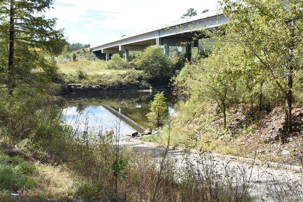 [State Line Boat Ramp, Withlacoochee River @ GA 133 2022-10-13]