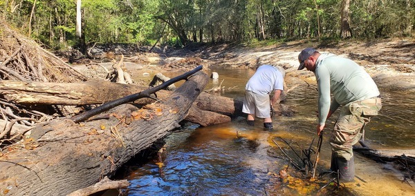 [Only a few hundred feet downstream, 11:11:53, 30.8628581, -83.3222147]