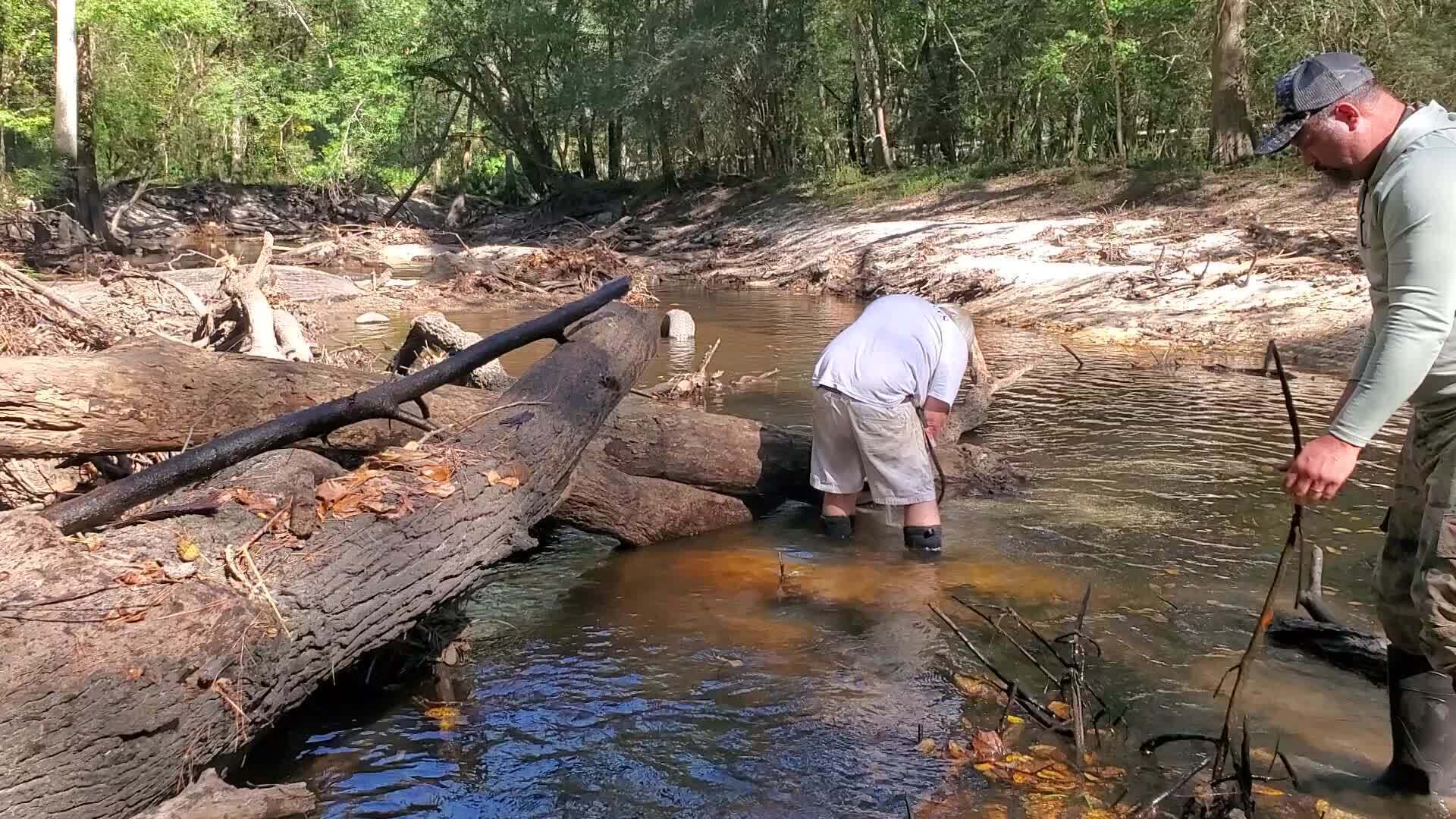 Movie: Sawing and tossing, 11:11:53, 30.8628581, -83.3222147 (29M)