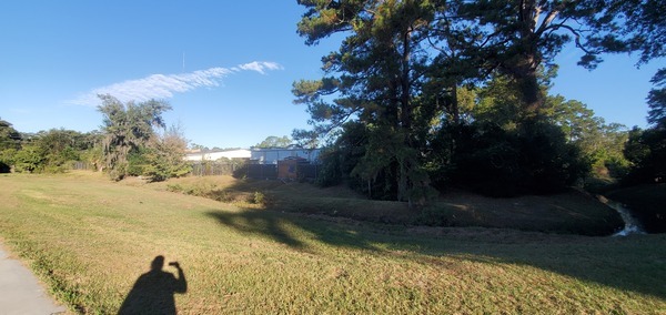 One Mile Branch downstream, 2022:10:18 09:07:23, 30.8473847, -83.2785739