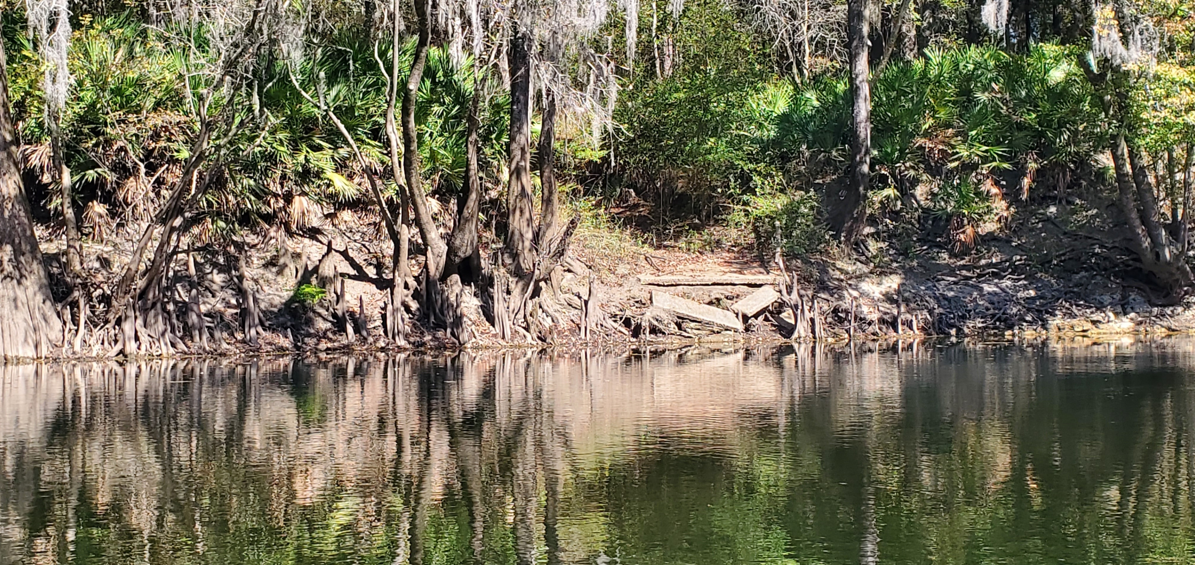 Withlacoochee East Conservation Landing, 11:59:40, 30.6324223, -83.2953469