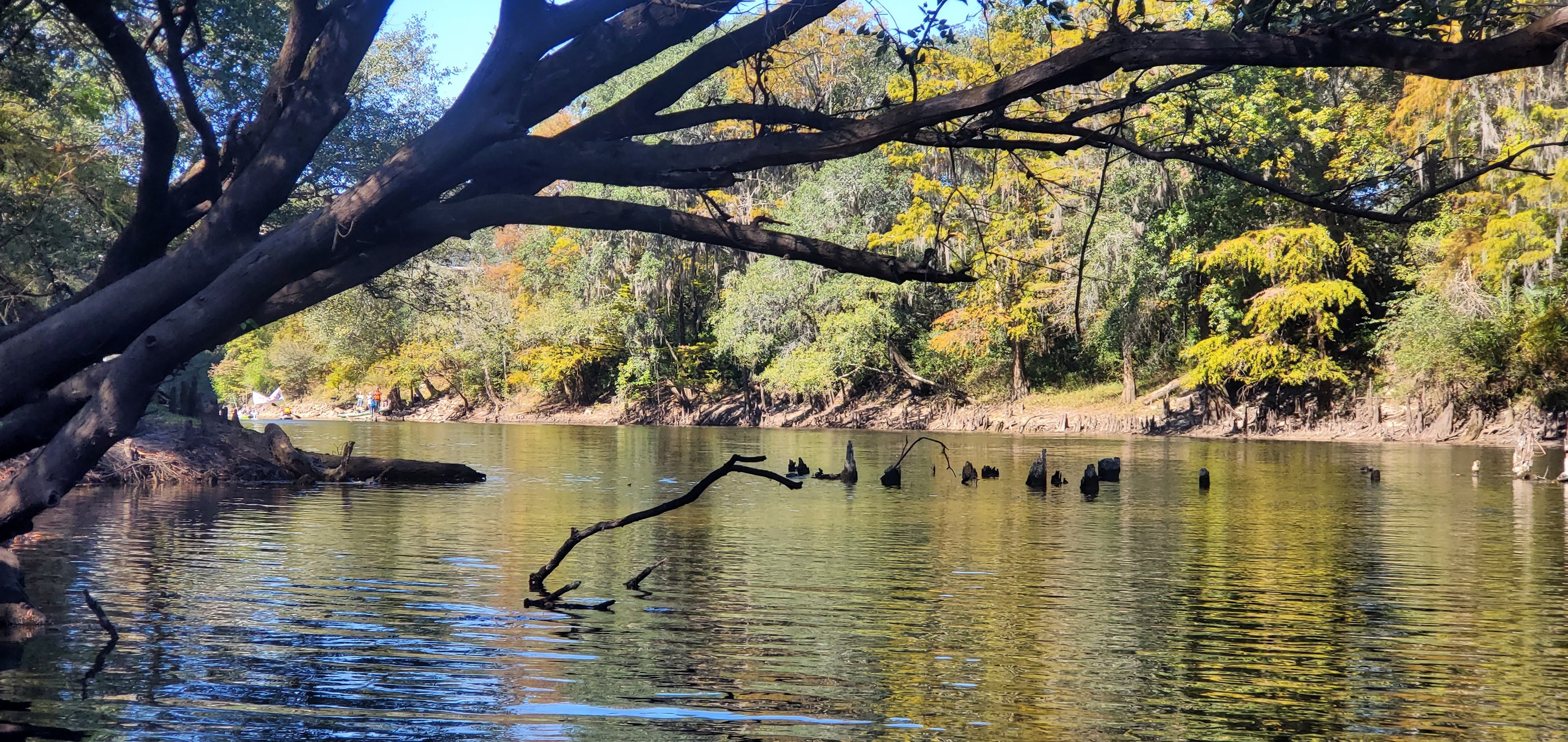 Old Horn Bridge pilings, 12:21:45, 30.6345775, -83.3094879