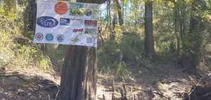 [Two Mile Marker: 2020 Boomerang Sponsor Banner, 11:41:30, 30.6297462, -83.2859078]