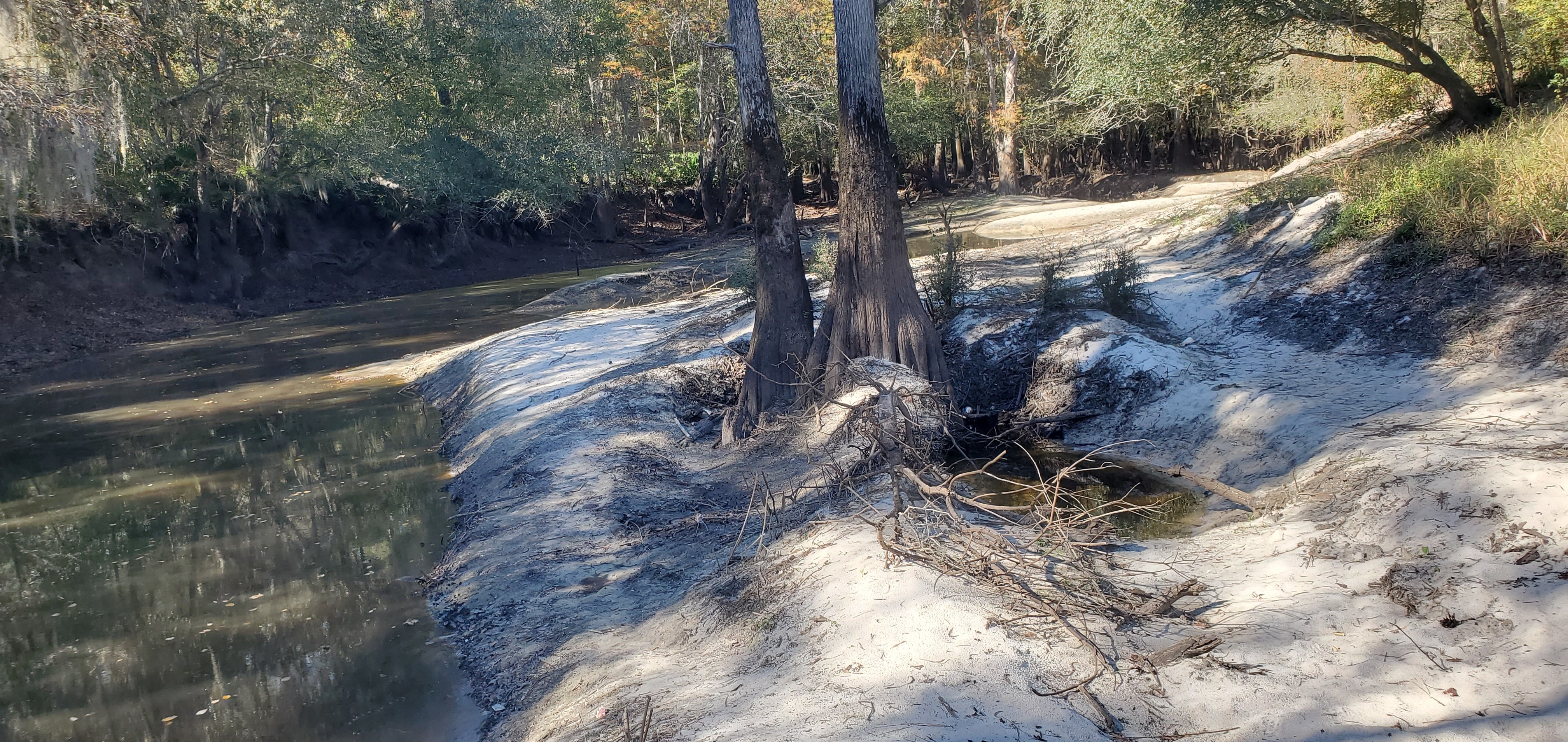 Sandbar closeup, upstream from Langdale Park Boat Ramp, 15:13:17, 30.8874731, -83.3241670