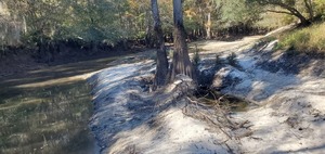 [Sandbar closeup, upstream from Langdale Park Boat Ramp, 15:13:17, 30.8874731, -83.3241670]