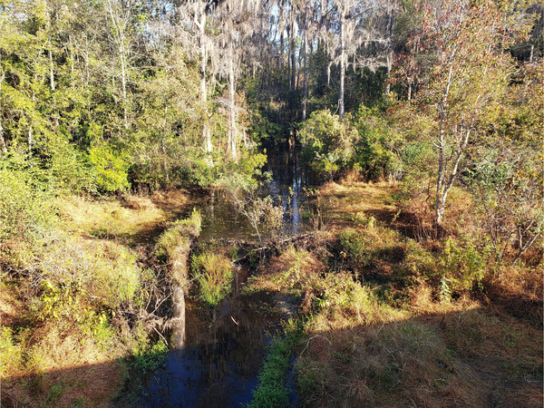 Upstream, Cat Creek @ GA 37 2022-11-03