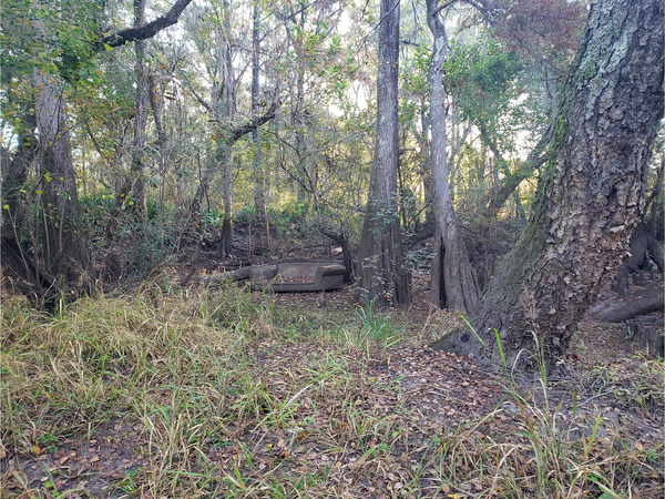 Couch, Hagan Bridge Landing, Withlacoochee River @ GA 122 2022-11-03