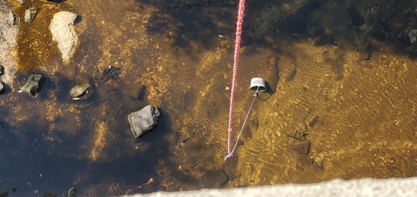 Bucket in Withlacoochee River @ GA 133, 11:22:21, 30.8499530, -83.3397190