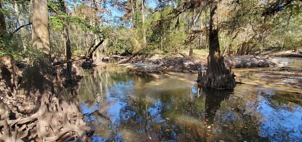 Withlacoochee River upstream towards I-75, 11:53:30, 30.8536398, -83.3329897