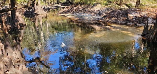 Bucket in Withlacoochee River below I-75, 11:53:33, 30.8536398, -83.3329897